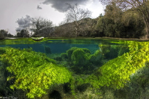 winter above_spring below by Mathieu Foulquié 